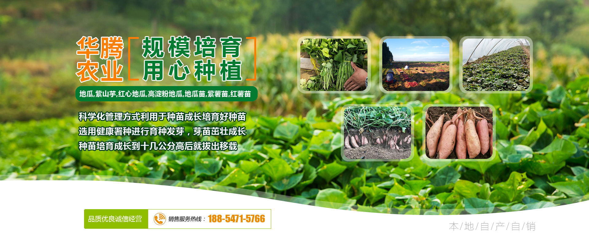 濟寧華騰農業